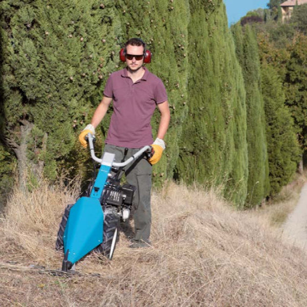 Bertolini 401 two-wheel walk-behind tractor with sickle bar cutter attachment cutting tall grass next to tree line on a homestead or small farm.