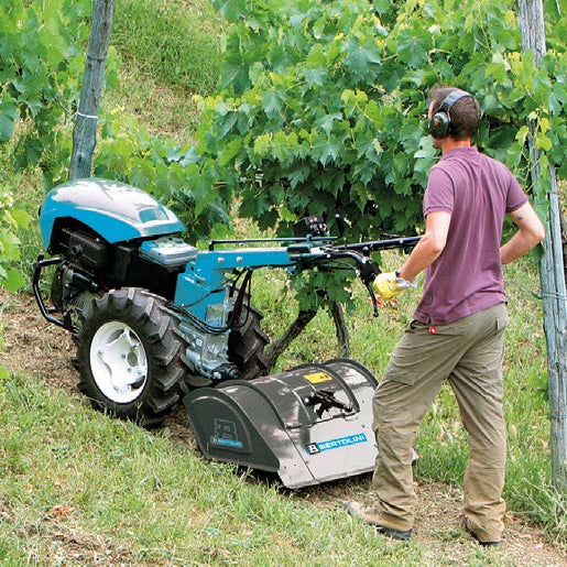 Bertolini 418 two-wheel walk-behind tractor with tiller box attachment preparing planting bed on a slight slope in a small scale farm or commercial vinyard