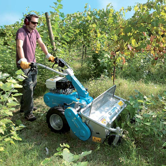 Bertolini BTS 65 flail mower clearing brush and saplings in a vineyard