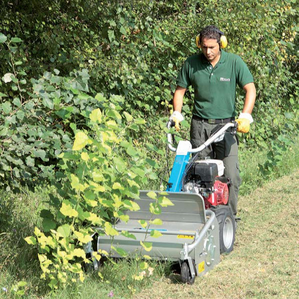 Bertolini BTS 80 flail mower clearing brush, thick grass and saplings on a small farm or pasture
