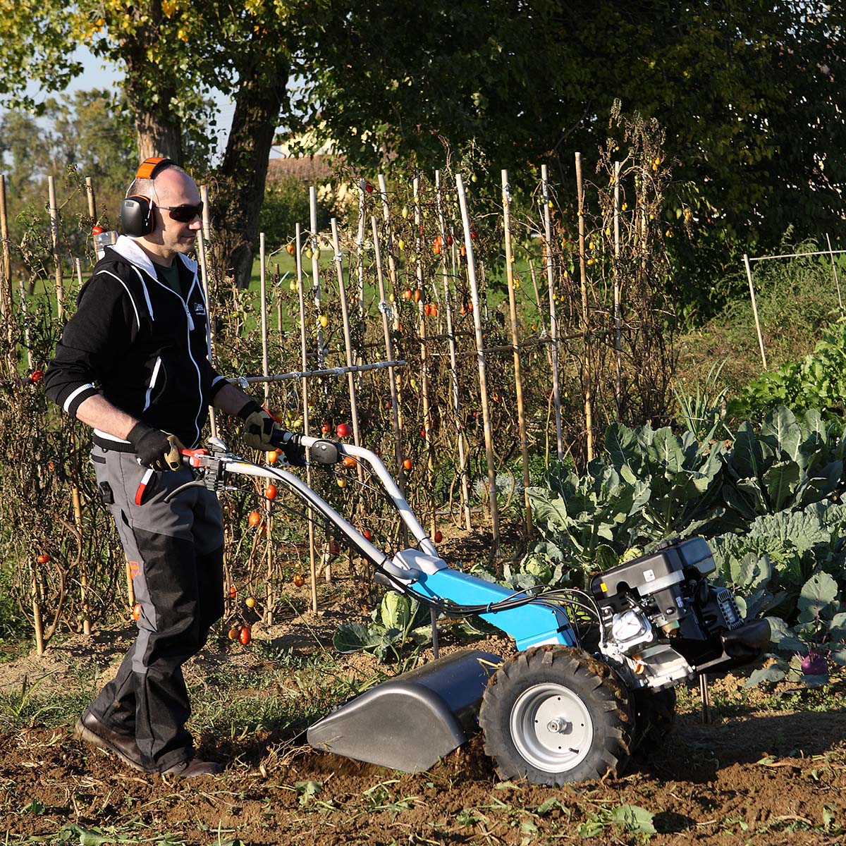 Bertolini 400 rear-tine tiller rototilling garden planting bed